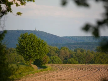 Blick auf das Hermannsdenkmal Ausblick auf das Hermannsdenkmal in der Ferne, umgeben von üppigen Wäldern und einem Feld im Vordergrund.
