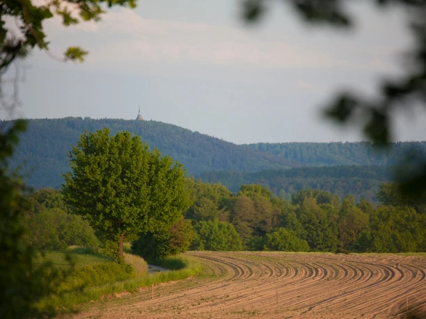 Blick auf das Hermannsdenkmal Ausblick auf das Hermannsdenkmal in der Ferne, umgeben von üppigen Wäldern und einem Feld im Vordergrund.