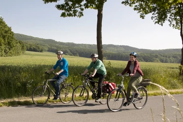 Unterwegs im Osnabrücker Land Drei Radfahrer fahren auf einer Straße durch eine weite grüne Landschaft bei sonnigem Wetter.