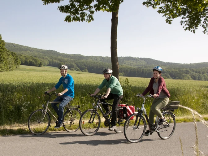 Unterwegs im Osnabrücker Land Drei Radfahrer fahren auf einer Straße durch eine weite grüne Landschaft bei sonnigem Wetter.