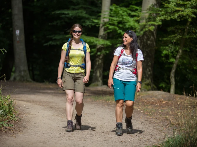 Zwei wandernde Frauen in einem sonnigen Waldweg, lächelnd, mit Rucksäcken.Two hiking women on a sunny forest path, smiling, with rucksacks.To vandrende kvinder på en solrig skovsti, smilende, med rygsække.Twee wandelende vrouwen op een zonnig bospad, lachend, met rugzakken.