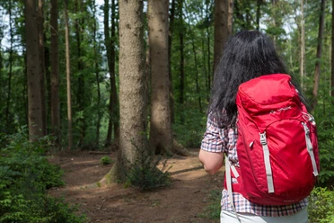 Vrouw met rode rugzak loopt over een bospad tussen hoge bomen.