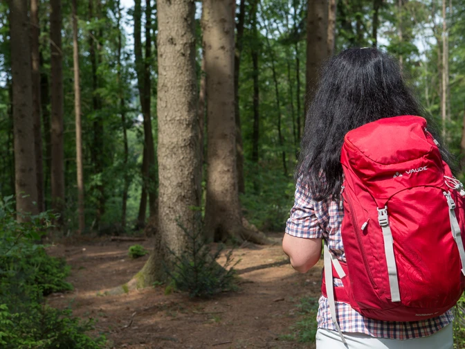Waldwandern Frau mit rotem Rucksack wandert auf einem Waldpfad zwischen hohen Bäumen.Woman with a red rucksack walks along a forest path between tall trees.Kvinde med rød rygsæk går langs en skovsti mellem høje træer.Vrouw met rode rugzak loopt over een bospad tussen hoge bomen.