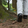 Wandern im Osnabrücker Land Wanderer mit weißen Hosen und schwarzen Schuhen auf einem Waldweg mit gelben Blumen neben einem Baum.