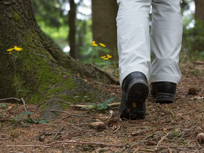 Wandern im Osnabrücker Land Wanderer mit weißen Hosen und schwarzen Schuhen auf einem Waldweg mit gelben Blumen neben einem Baum.