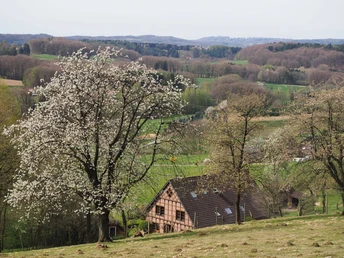 Kirschblüte Fachwerkhaus in hügeliger Landschaft mit blühenden Bäumen und weiten Feldern im Hintergrund.