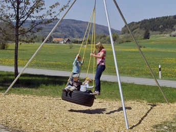 reifenschaukel-sw-dtal