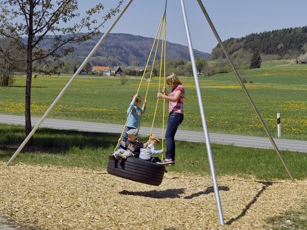 reifenschaukel-sw-dtal