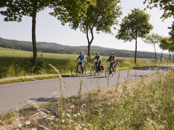 Unterwegs im Osnabrücker Land Drei Radfahrer auf einer Landstraße durch eine grüne, hügelige Landschaft.