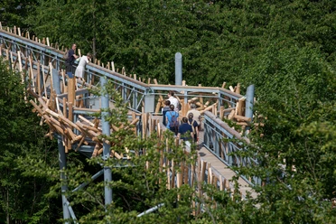 Een houten wandelpad baant zich een weg door weelderig groen gebladerte, mensen genieten van de wandeling.