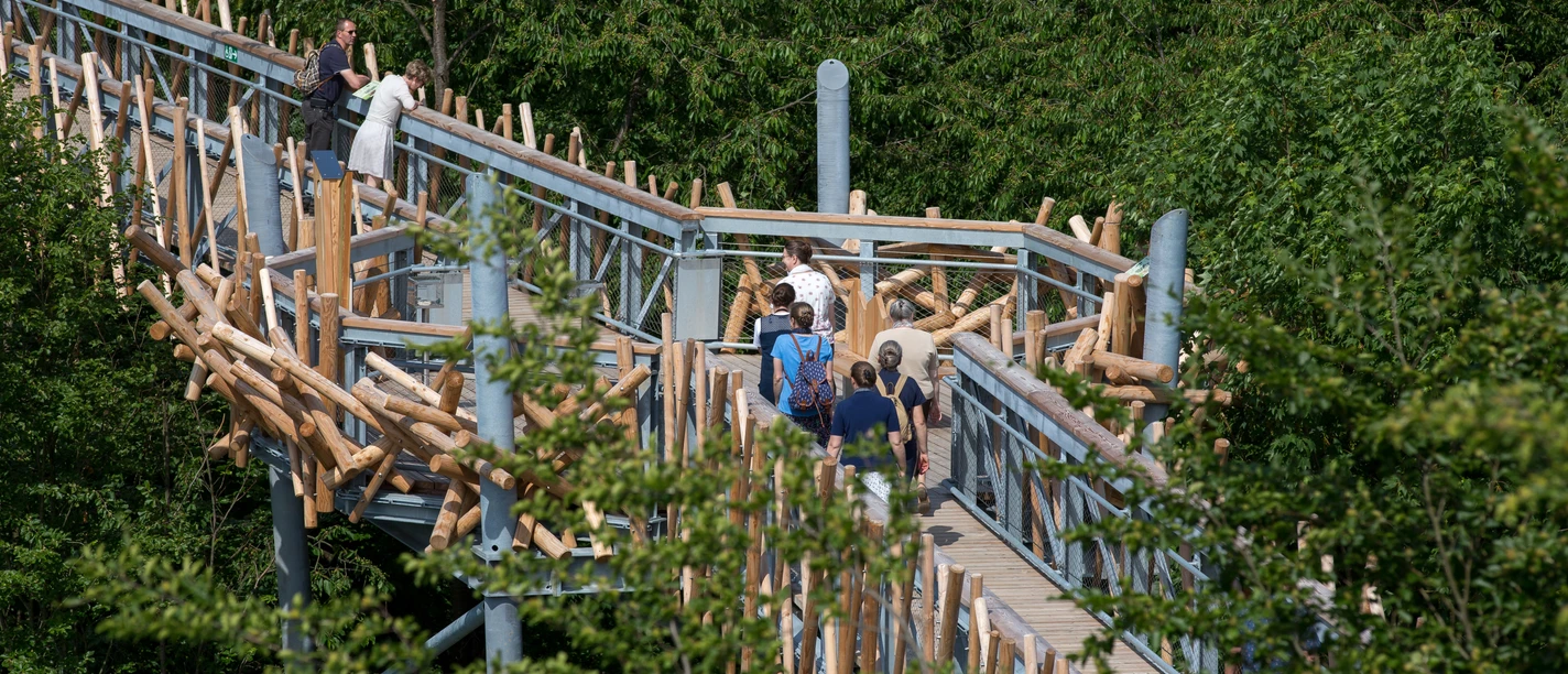 Een houten wandelpad baant zich een weg door weelderig groen gebladerte, mensen genieten van de wandeling.