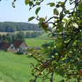 Im Zittertal in Bissendorf Apfelbaumzweige mit Früchten im Vordergrund, im Hintergrund grüne Felder und ein Fachwerkhaus.Apple tree branches with fruit in the foreground, green fields and a half-timbered house in the background.Æbletræets grene med frugt i forgrunden, grønne marker og et bindingsværkshus i baggrunden.Takken van appelbomen met fruit op de voorgrond, groene velden en een vakwerkhuis op de achtergrond.