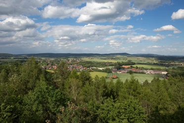 Landschap van bossen en velden in glooiende heuvels onder een blauwe lucht met witte wolken.