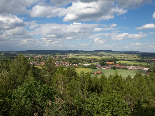 Landschap van bossen en velden in glooiende heuvels onder een blauwe lucht met witte wolken.