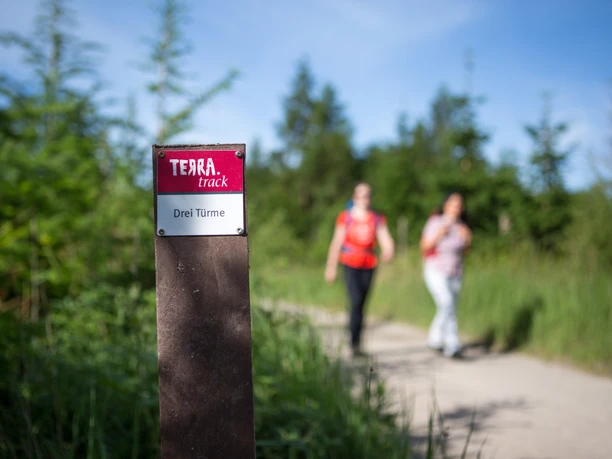 Beschilderung der TERRA.tracks Zwei Wanderer spazieren bei sonnigem Wetter auf einem naturbelassenen Pfad.