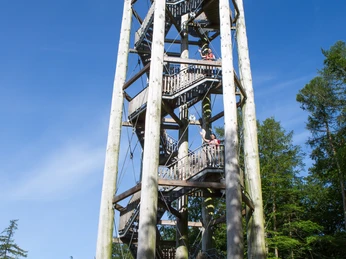 Aussichtsturm Holzturm mit spiralförmiger Treppe, umgeben von Bäumen unter klarem Himmel.Wooden tower with spiral staircase, surrounded by trees under a clear sky.Trætårn med vindeltrappe, omgivet af træer under en klar himmel.Houten toren met wenteltrap, omringd door bomen onder een heldere hemel.