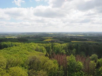 Aussicht Ottoshöhe Blick über eine weite, grüne Landschaft aus Wäldern und Feldern unter bewölktem Himmel.View over a wide, green landscape of forests and fields under a cloudy sky.Udsigt over et bredt, grønt landskab med skove og marker under en overskyet himmel.Uitzicht over een weids, groen landschap van bossen en velden onder een bewolkte hemel.