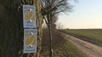Markierungszeichen der ORTSWEGE Rund um Flötenkiel und Rhadereistedt Markierungszeichen der ORTSWEGE Rund um Flötenkiel und Rhadereistedt