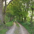 Naturnaher Weg durch ein Waldstück am ORTSWEG Rund um Flötenkiel Naturnaher Weg durch ein Waldstück am ORTSWEG Rund um Flötenkiel
