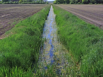 Entwässerungsgraben zwischen zwei Feldern Entwässerungsgraben zwischen zwei Feldern