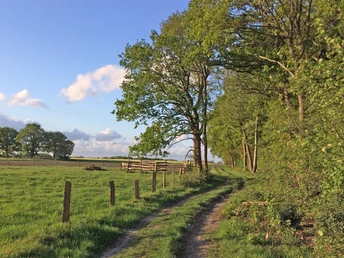 Am Waldrand entlang Am Waldrand entlang