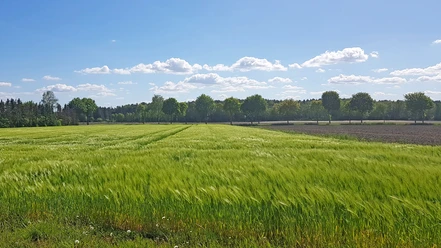 Landwirtschaftliche Weite prägt den ORTSWEG Rund um Rhadereistedt Landwirtschaftliche Weite prägt den ORTSWEG Rund um Rhadereistedt