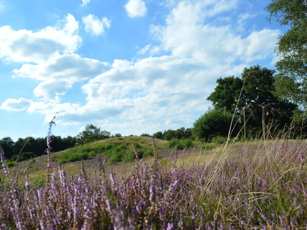 heide-in-uelsen