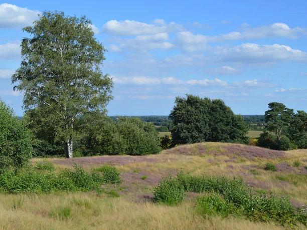 sp-llberg