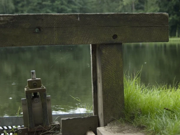 immer-ganz-in-der-natur