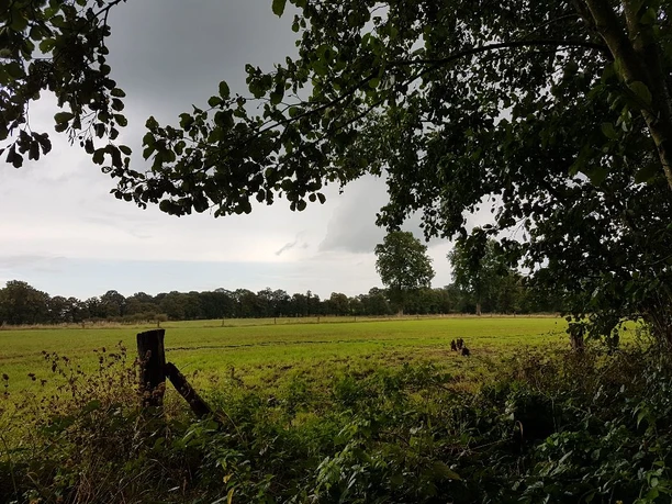 weite-sicht-in-uelsen