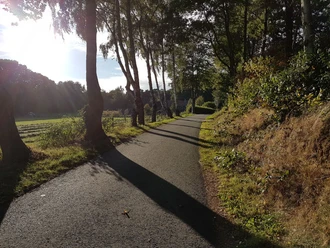 wanderweg-und-landschaft-der-samtgemeinde-uelsen
