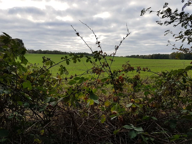 landschaft-der-samtgemeinde-uelsen-2