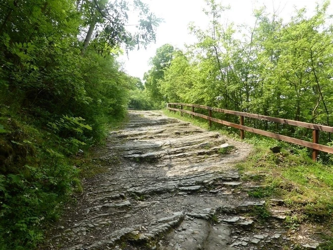 rundweg_zur_rudelsburg