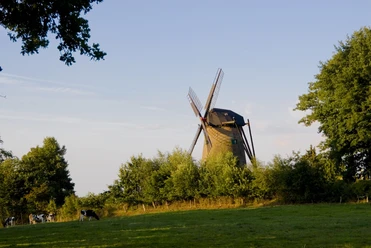 windmuehle_uelsen-tif