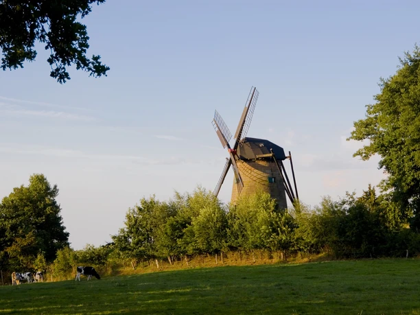 windmuehle_uelsen-tif