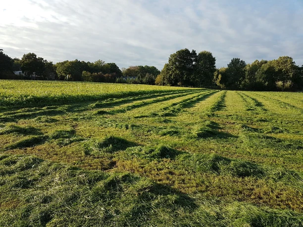 landschaft-der-samtgemeinde-uelsen-1