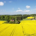 Aussicht vom Wasserturm Weite gelbe Rapsfelder mit vereinzelten Bauernhäusern unter blauem Himmel im ländlichen Umfeld.