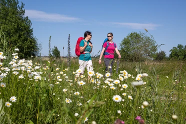 Twee vrouwen lopen op een zonnige dag door een bloeiende weide vol madeliefjes.