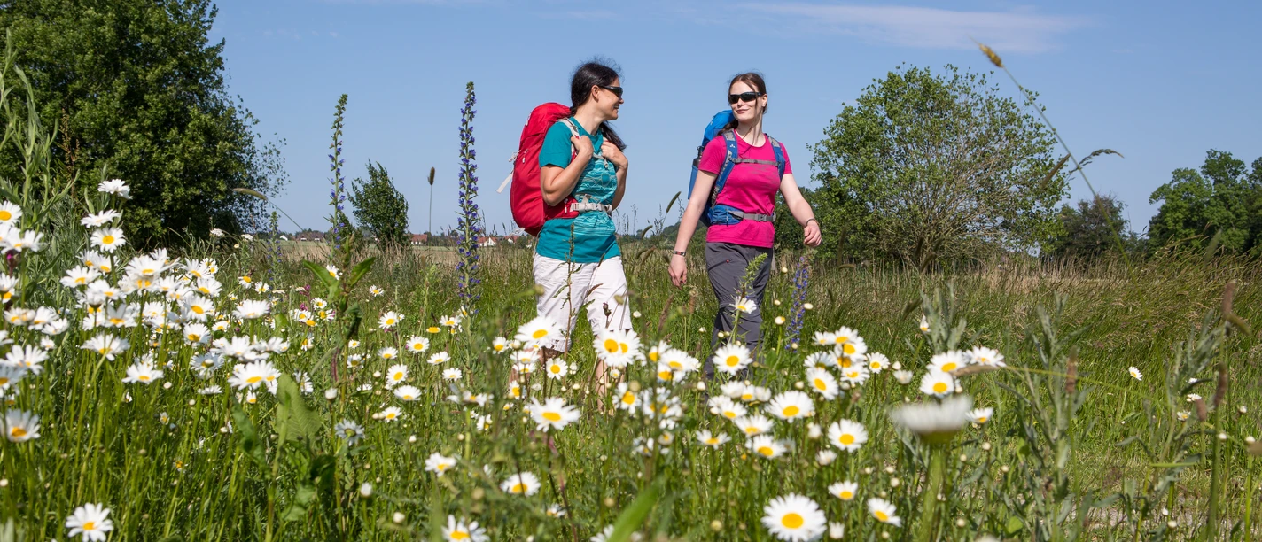 Twee vrouwen lopen op een zonnige dag door een bloeiende weide vol madeliefjes.