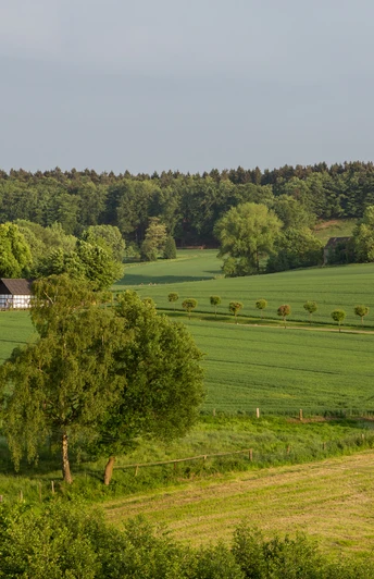 Fachwerkhaus am Waldrand, umgeben von weiten, grünen Feldern und sanften Hügeln.Half-timbered house on the edge of the forest, surrounded by wide, green fields and rolling hills.Bindingsværkshus i udkanten af skoven, omgivet af store, grønne marker og bølgende bakker.Vakwerkhuis aan de rand van het bos, omgeven door weidse, groene velden en glooiende heuvels.