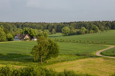 Landschaft bei Hasbergen Half-timbered house on the edge of the forest, surrounded by wide, green fields and rolling hills.