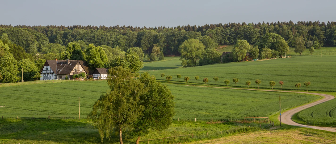 Landschaft bei Hasbergen Half-timbered house on the edge of the forest, surrounded by wide, green fields and rolling hills.
