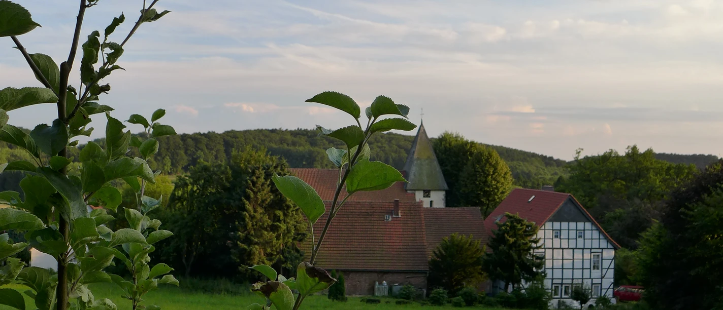 Zicht op een kerk en vakwerkhuizen achter groene velden en bomen onder een blauwe lucht.