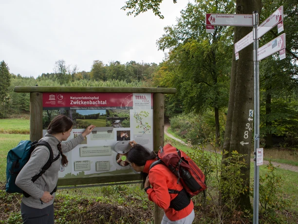 Twee wandelaars verkennen het natuurreservaat Zwickelbach.