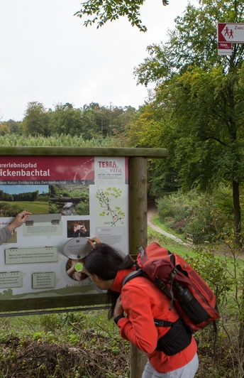 Informationstafel Zwei Wanderer erkunden das Naturlehrgebiet Zwickelbach.Two hikers explore the Zwickelbach nature reserve.To vandrere udforsker naturreservatet Zwickelbach.Twee wandelaars verkennen het natuurreservaat Zwickelbach.