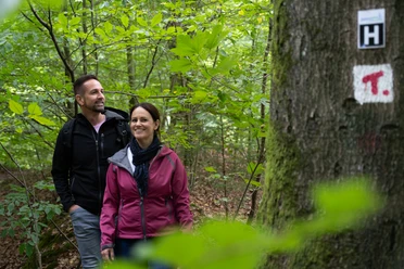 Wandern im Teutoburger Wald Twee mensen lopen over een bospad, omringd door groen gebladerte.