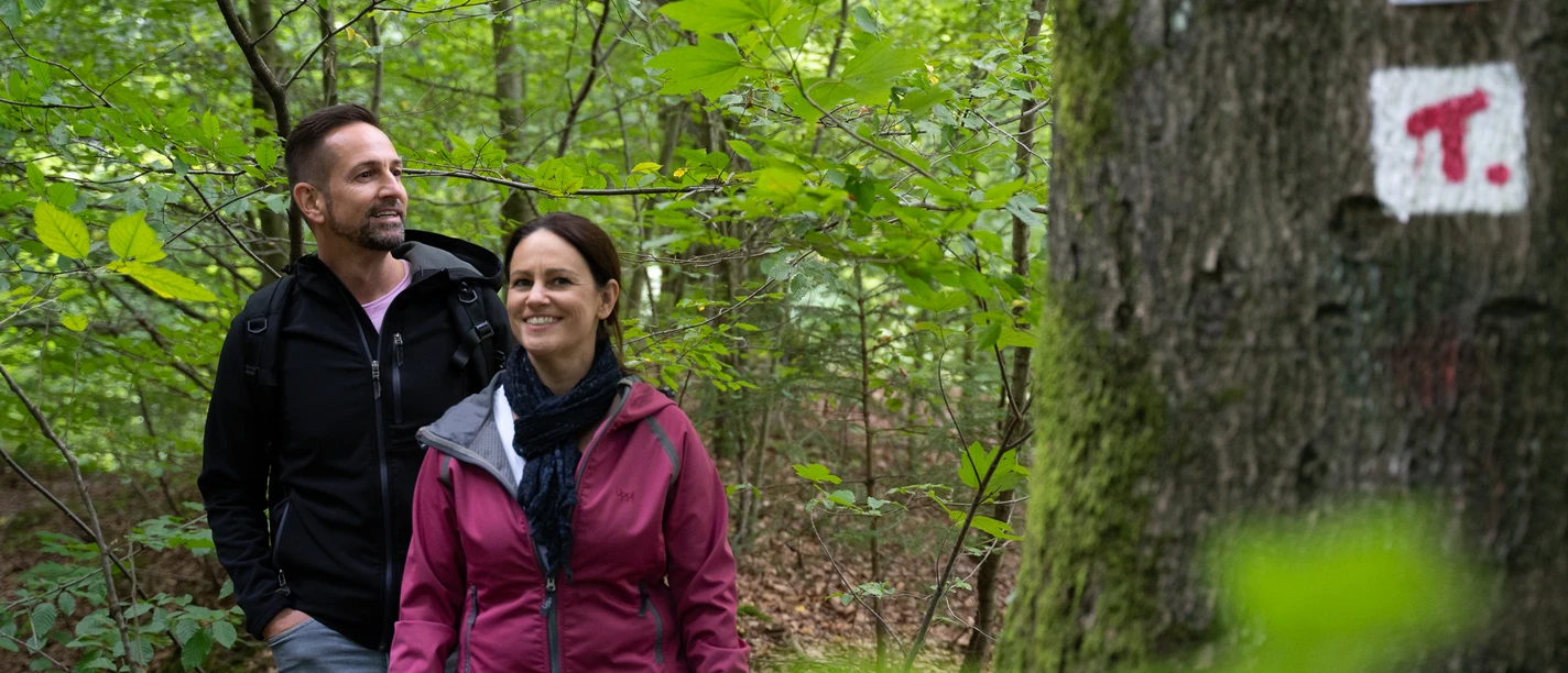 Wandern im Teutoburger Wald Two people are walking along a forest path, surrounded by green foliage.