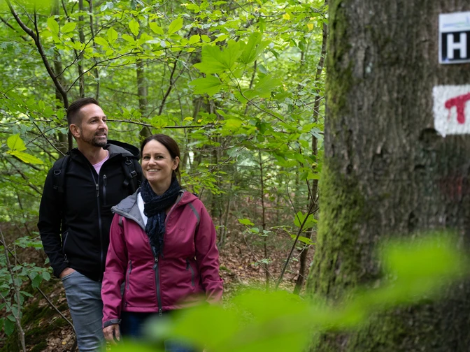 Wandern im Teutoburger Wald Zwei Personen spazieren auf einem Waldweg, umgeben von grünem Laub.
