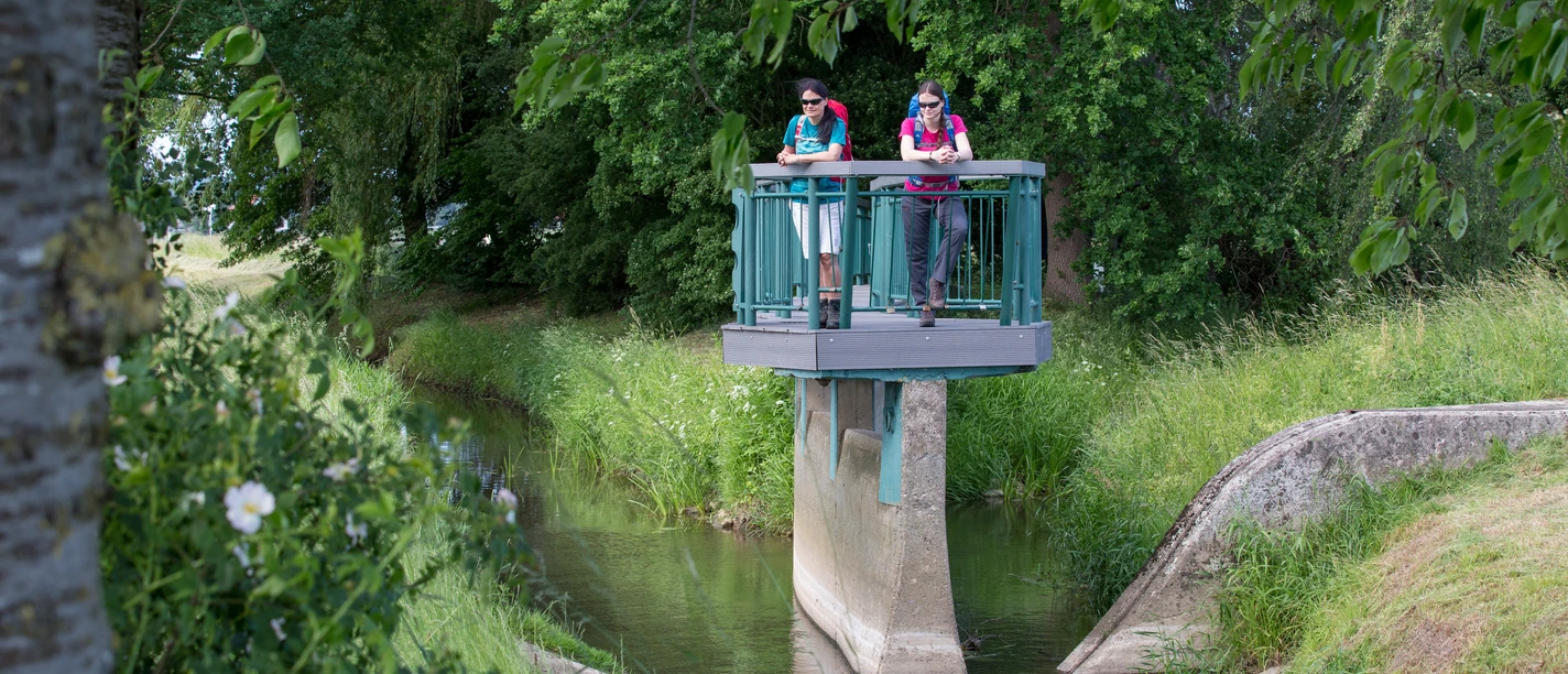 Bifurkation To vandrere står på en udsigtsplatform over en lille flod i landskabet.