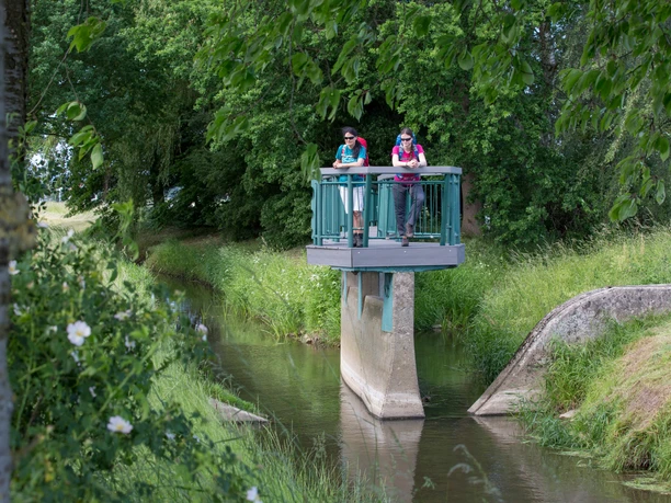 Bifurkation Zwei Wanderer stehen auf einer Aussichtsplattform über einem kleinen Fluss im Grünen.